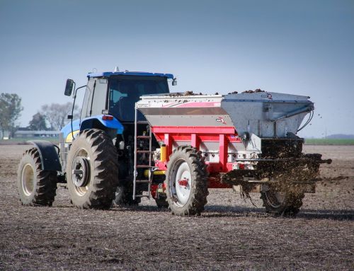 El manejo de la fertilización explica las brechas en la producción de granos
