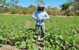 Análisis de suelo en el norte argentino