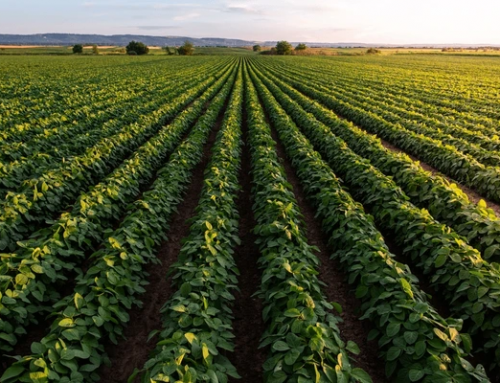 Aspectos de la ecofisiología y manejo del cultivo de soja