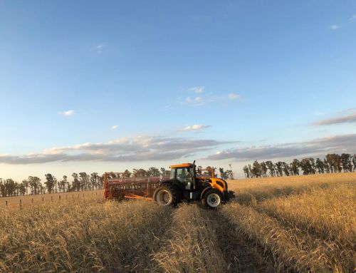 El uso de fertilizantes aumentó un 7% en 2024