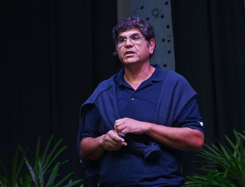 Nutrientes estratégicos para mejorar productividad de pasturas en suelos de la región pampeana