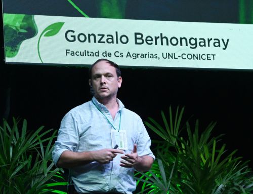 Fertilización de forrajeras anuales de invierno y verano