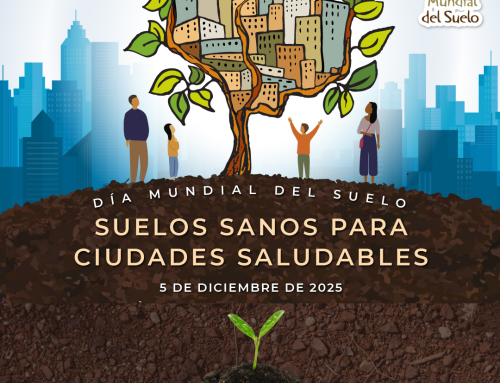 Día Mundial del Suelo: “Suelos sanos para ciudades saludables”