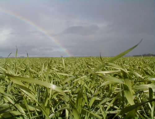 Se lanza el Simposio Regional FERTILIDAD 2026