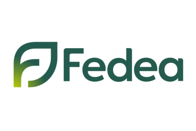 Logo Sponsor – FEDEA