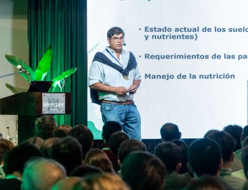 Nutrición efectiva y responsable de pasturas