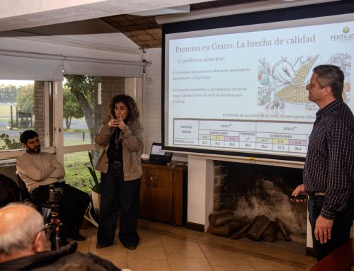 Nutrición de la soja: especialistas analizaron cómo mejorar el rendimiento y la calidad del cultivo